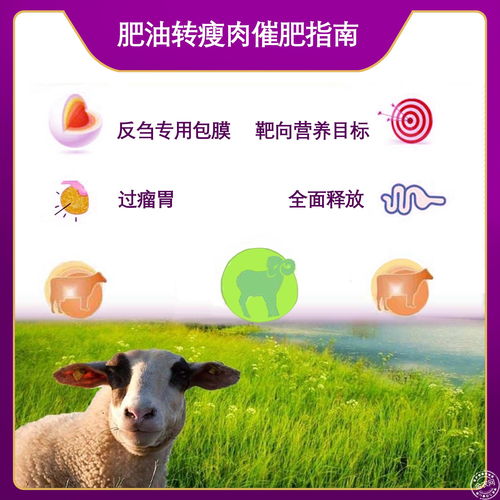 過瘤胃胍基乙酸 牛羊催肥新選擇，助力高效養(yǎng)殖